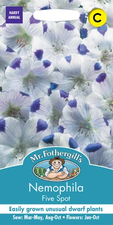 Nemophila Five Spot - image 1