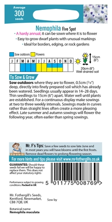 Nemophila Five Spot - image 2