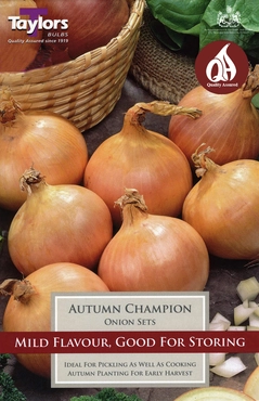 Onion Autumn Champion 14-21