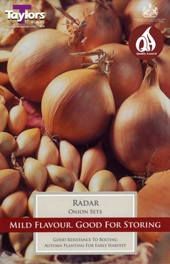 Onion Radar 14-21 Pre-Pack