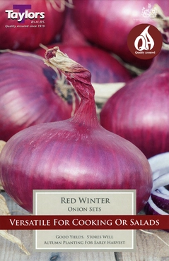 Onion Red Winter 14-21