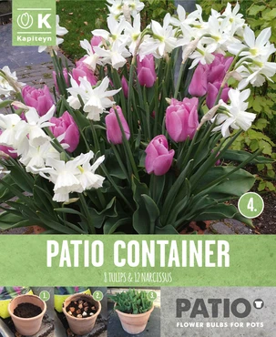 Patio Container Tulipa Pink & Narcissus White