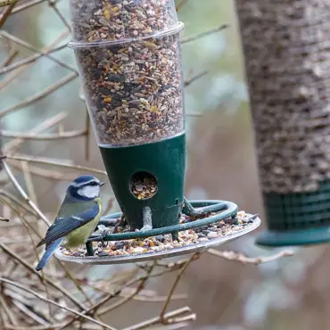 Peckish 3 Port Multi Seed Feeder - image 2