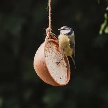 Peckish Natural Balance Coco-Not - image 2