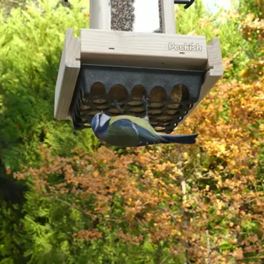 Peckish Woodland Feast Seed & Suet Cake Tower Feeder - image 3