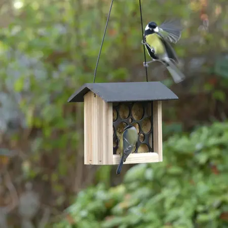 Peckish Woodland Feast Suet Cake Feeder - image 3