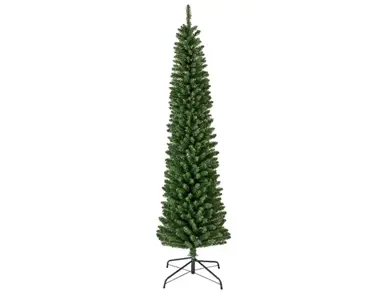 Pencil Pine 210cm/7ft - image 1