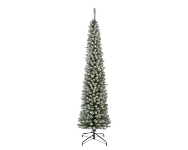 Pencil Pine Snowy 210cm/ft