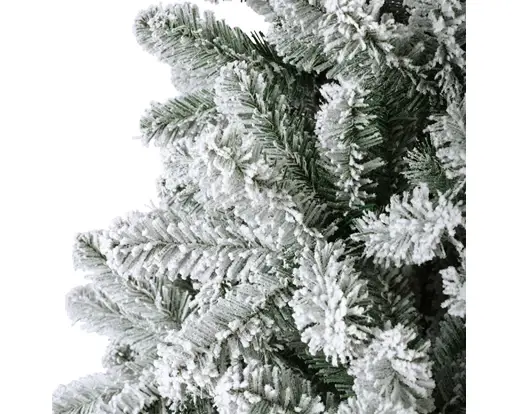 Pencil Pine Snowy 210cm/ft - image 2