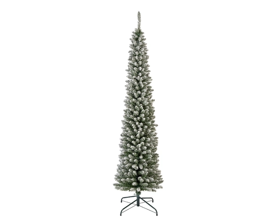 Pencil Pine Snowy 240cm/8ft - image 1