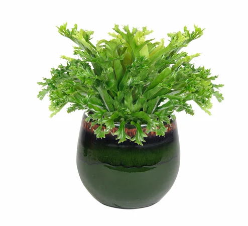 Pot Charlotte Green D23 H20 - image 2