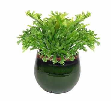 Pot Charlotte Green D23 H20 - image 2