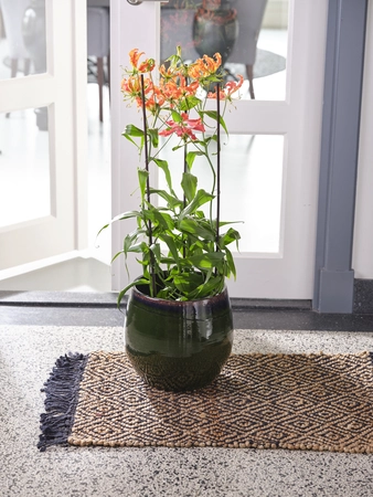 Pot Charlotte Green D29 H26 - image 3