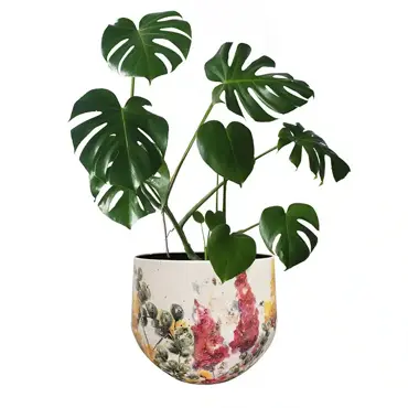 Pot Floral White D33 H28 - image 2