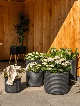Pot Gabi Black D37 H33 - image 2