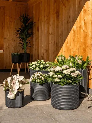 Pot Gabi Black D47 H43 - image 2
