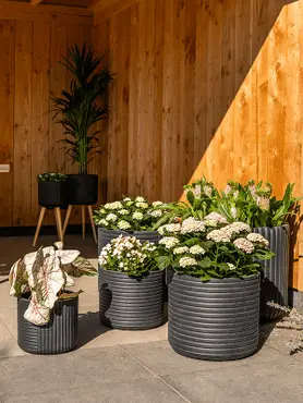 Pot Gabi Black D47 H43 - image 2