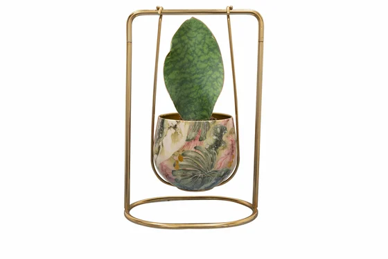 Pot In Hanger Monstera Mystery D24X15 H36 - image 3
