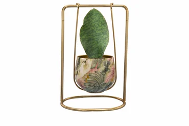 Pot In Hanger Monstera Mystery D24X15 H36 - image 3