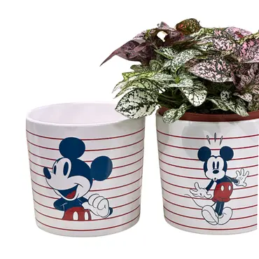 Pot Medium Size Mickey 3