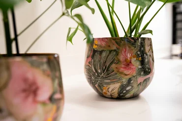 Pot Monstera Mystery D33 H28 - image 3
