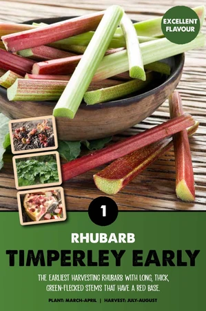 Rhubarb Timberley Early