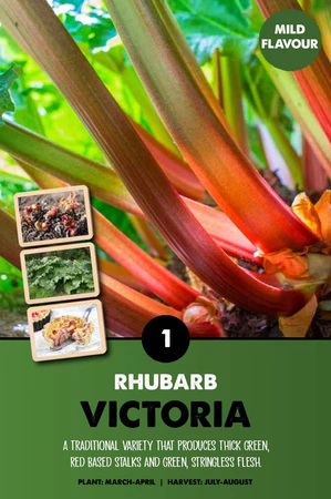 Rhubarb Victoria