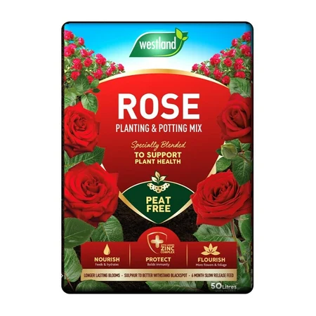 Rose planting & potting