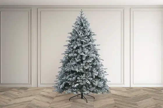 Snowy Aplina Fir 225cm/7.5ft  - image 4