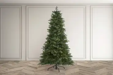 The Northwest Nobel Fir  225cm/7.5ft  - image 3