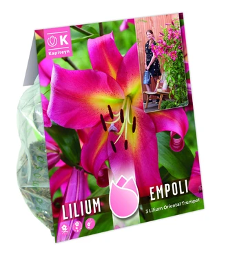 Tree Lilium Pack Empoli