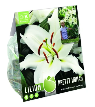 Tree Lilium Pretty Woman