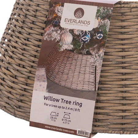 Tree Ring Willow - image 3