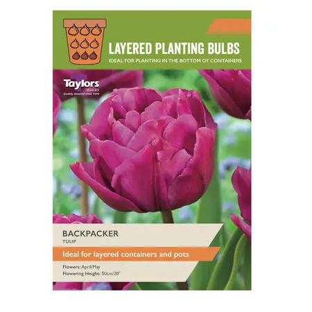 Tulip Backpacker 11-12