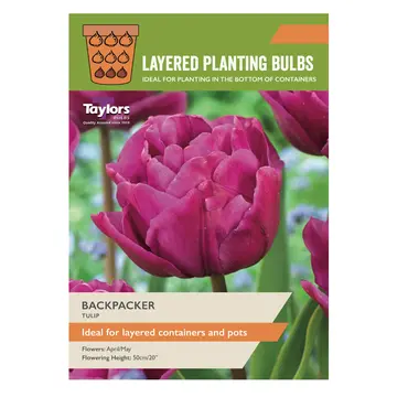 Tulip Backpacker 11-12