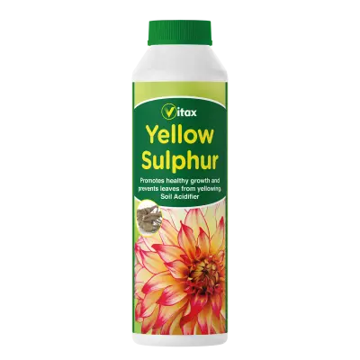 Yellow Sulphur  225g