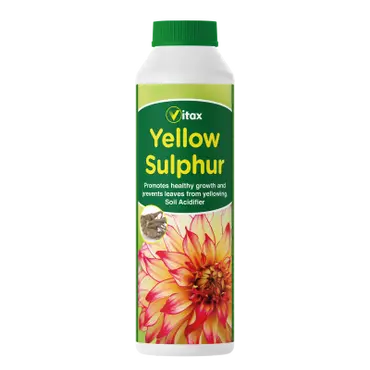 Yellow Sulphur  225g